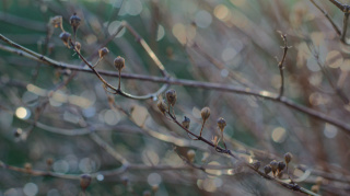 photo/562d43f9-489d-442d-bb00-e7542df3e2ba-3